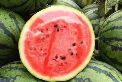 金米吃瓜,揭秘娱乐圈幕后故事