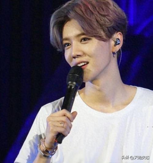 今日头条 鹿晗,揭秘明星背后的故事与成长历程”