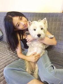 网红扑善于,揭秘网络红人的崛起之路